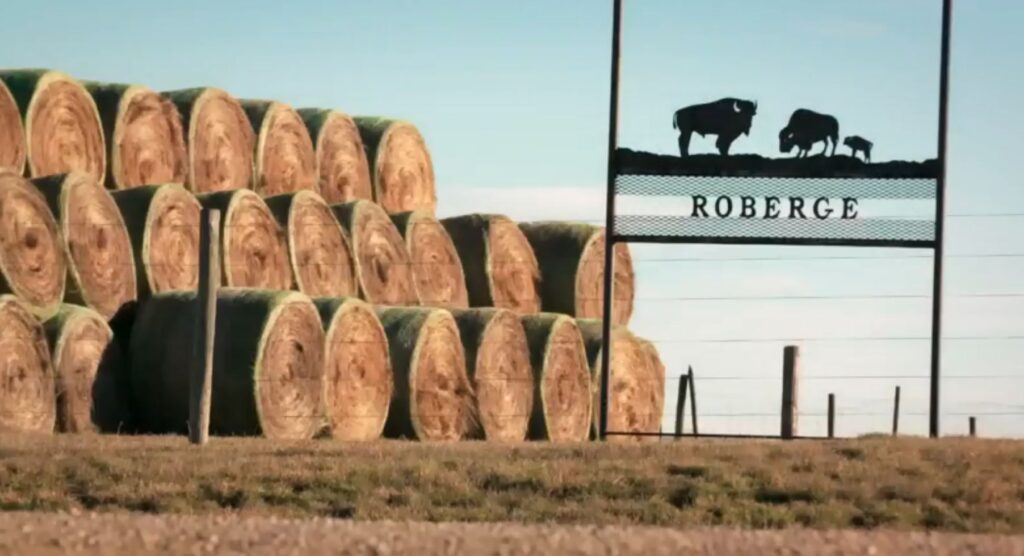 Ferme Guy Roberge éleveur de bisons à Ponteix Saskatchewan